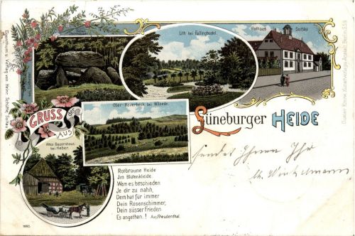 Soltau - Lüneburger Heide - Litho