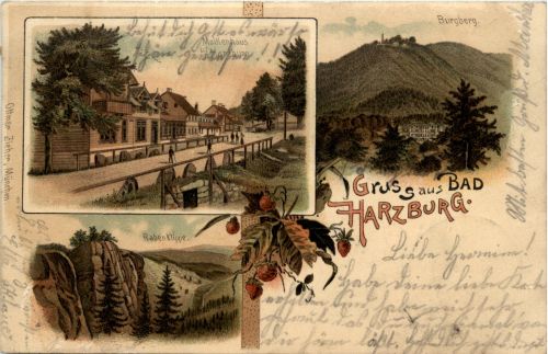 Gruss aus Bad Harzburg - Litho