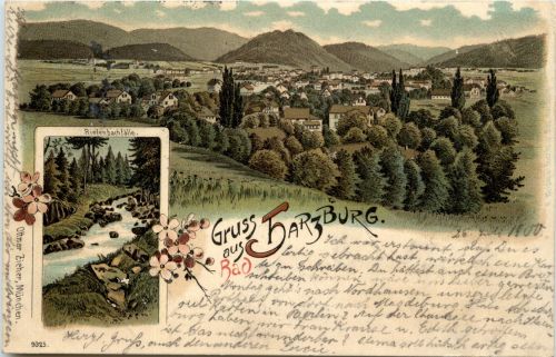 Gruss aus Bad Harzburg - Litho