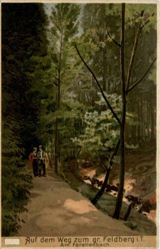 Auf dem Weg zum gr. Feldberg - Litho