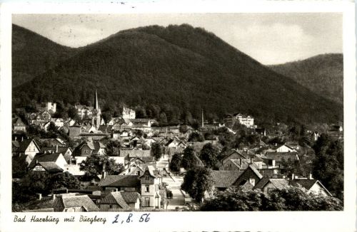 Bad Harzburg mit Bürgberg
