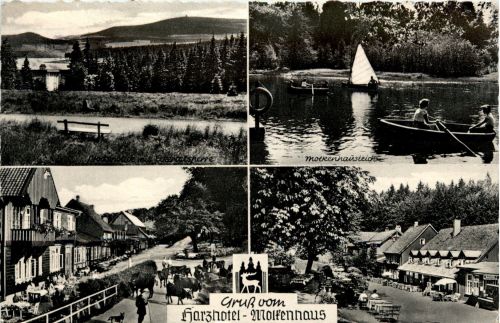 Bad Harzburg - Harzhotel Molkenhaus