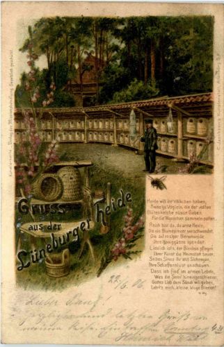 Gruss aus der Lüneberger Heide - Bienen Imker - Litho