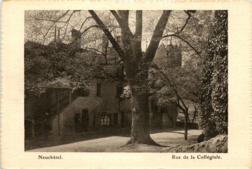 Neuchatel - Rue de la Collegiale