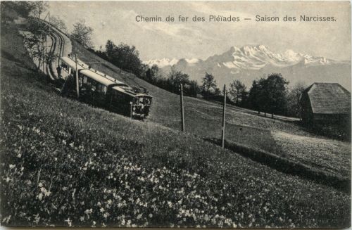 Chemin de fer des Pleiades - Saison des Narcisses