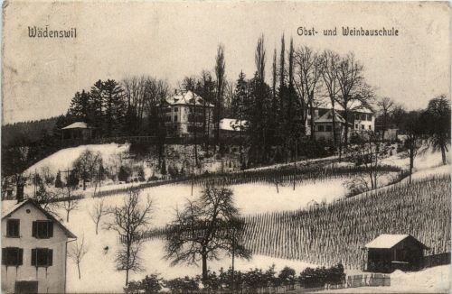 Wädenswil - Obst und Weinbauschule