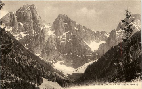 Chateau d Oex - La Gummfluh