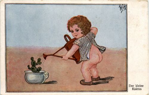 Der kleine Kaktus