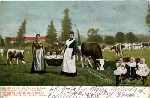 Kinder Kühe cow