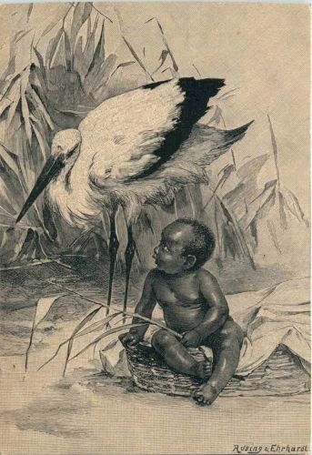 Kind - Storch