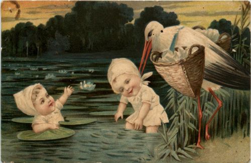 Kind - Storch