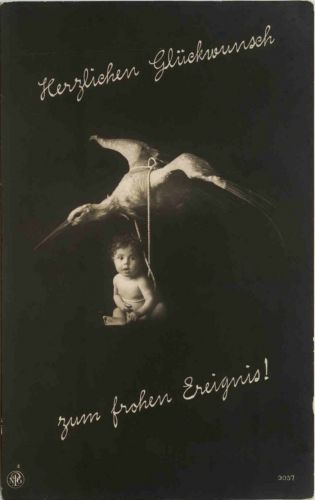 Geburt - storch