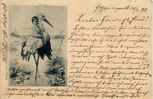 Geburt - storch