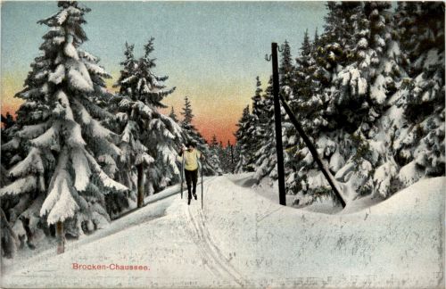 Ski Langlauf