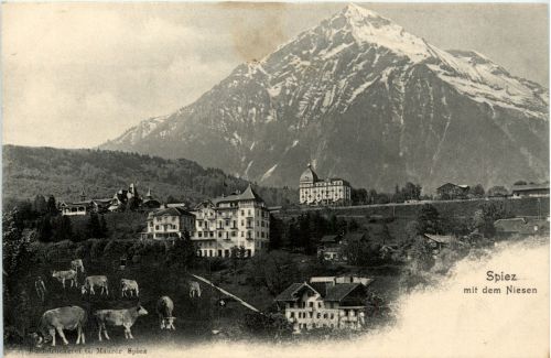 Spiez mit Niesen