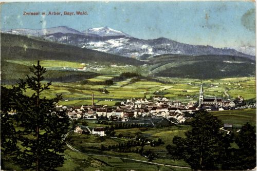 Zwiesel