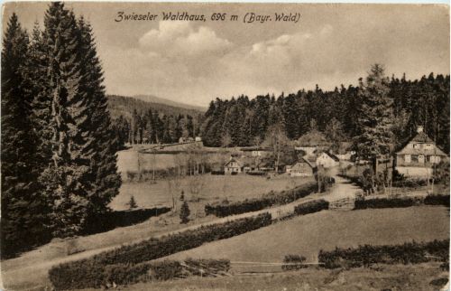 Zwiesel Waldhaus