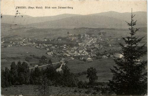Zwiesel