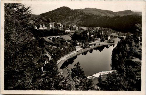 Ziegenrück an der Saale - Blick zum Schlossberg
