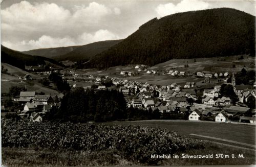 Mitteltal im Schwarzwald