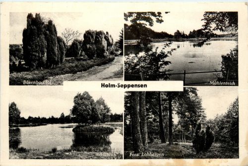 Holm-Seppensen