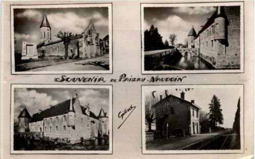 Souvenir de Paizay - Naudoin