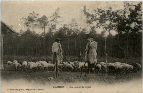 Landes - Un instant de repos