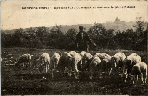 Sampans - Moutons sur l Ourehaut