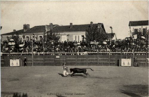 Landes - Courses Landaises
