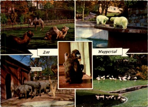 Wuppertal - Zoo