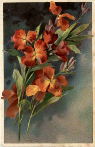 Künstlerkarte C. Klein