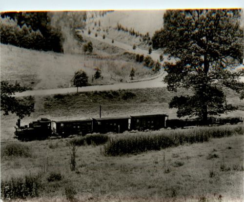 DEV Dampflokomotive Hermann