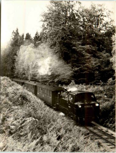 Schmalspurbahn Putbus - Göhren