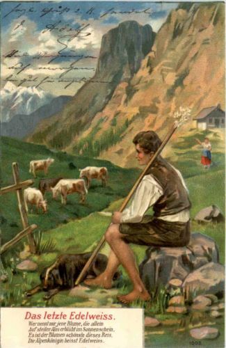 Das letzte Edelweis - Prägekarte