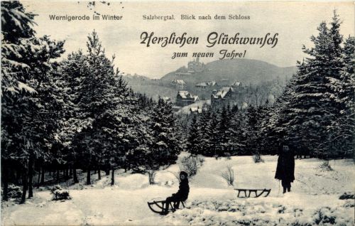 Wernigerode - Salzbergtal - rodeln