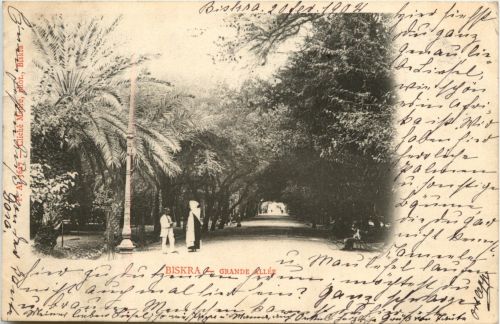 Biskra - Grande Allee