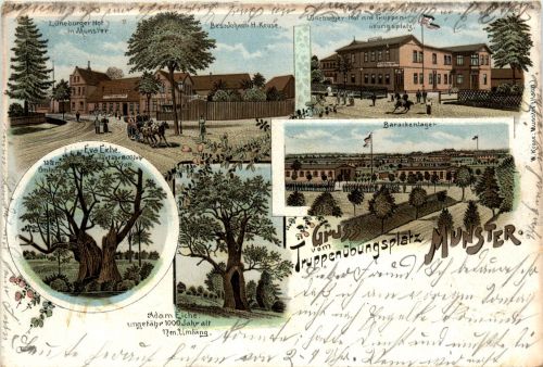 Gruss vom Truppenübungsplatz Munster - Litho