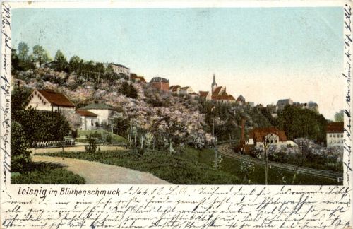 Leisnig im Blütenschmuck