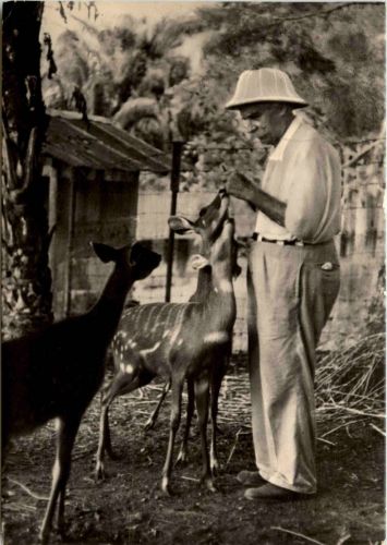 Albert Schweitzer