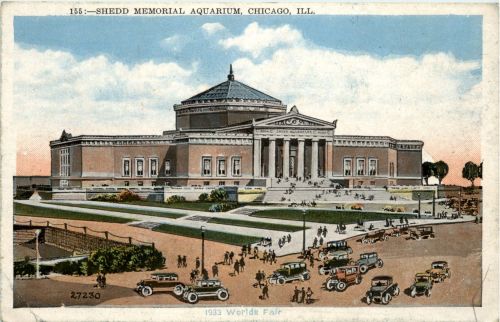 Chicago - Shedd Memorial Aquarium