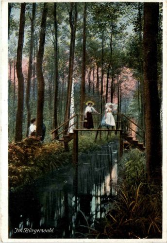 Spreewald - Im Bürgerwald