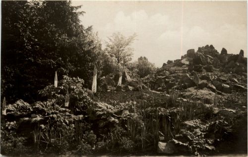 Berlin Dahlem - Botanischer Garten
