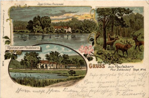 Gruss aus Paulsborn bei Zehlendorf - Litho