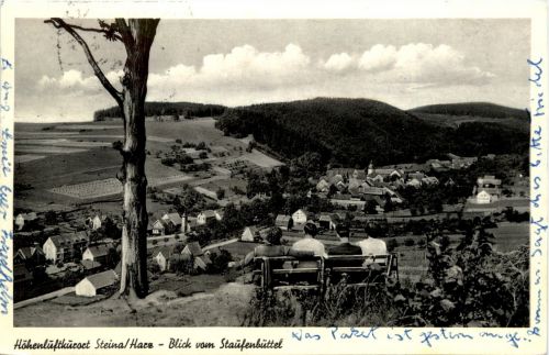 Steina Harz