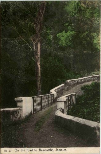 Jamaica - On the road to Newcastle
