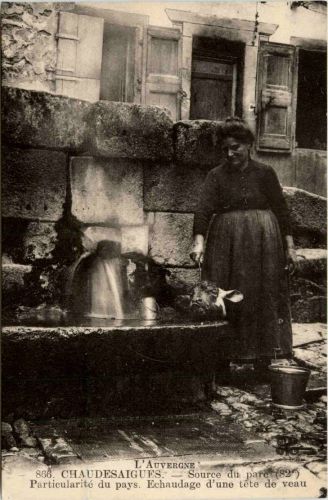 Chaudesaigues - Source du parc