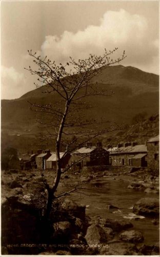 Beddgelert