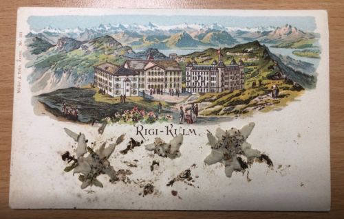 Rigi-Kulm Litho mit Edelweiß