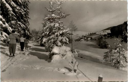Willingen - Im Strycktal