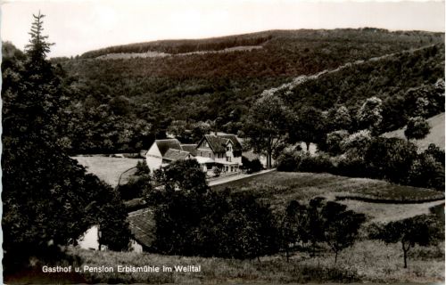 Neuweilnau im Taunus - Gasthof Erbismühle